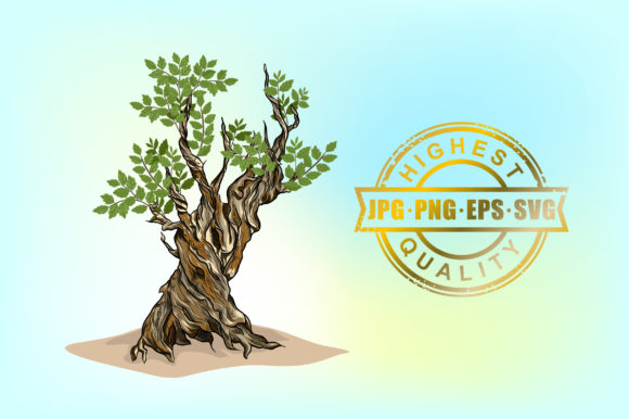 Ancient Old Tree Hand Drawn Graphics and Illustrations