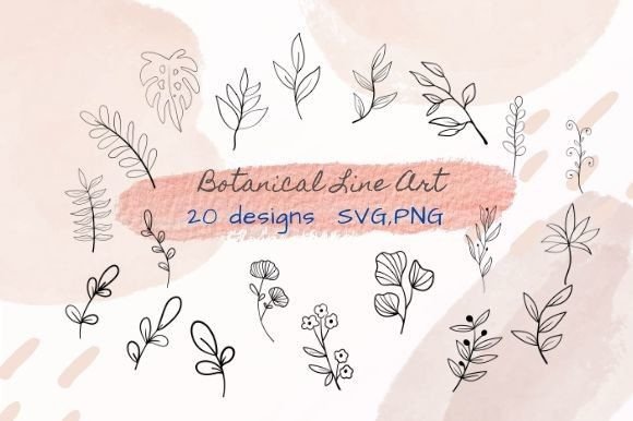 Botanical Line Art Clipart: Graphics and Illustrations for Editorial Design