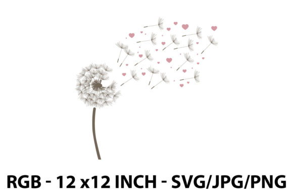 Dandelion Graphics & Illustrations