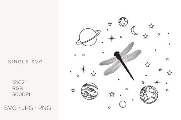Dragonfly and Universe