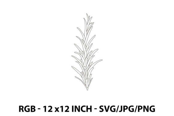 Illustration of a Rosemary: Graphics and Illustrations for Branding