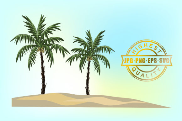 Palm Tree Vector Illustrations
