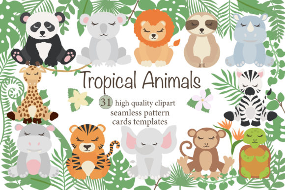 Tropical Animals Clipart: Graphics and Illustrations for Branding